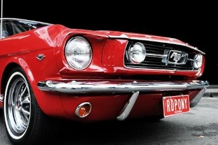 car shipping to New Zealand